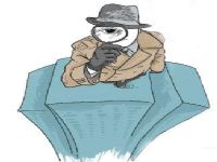 六盘水市取证公司解说第三者承担离婚赔偿责任吗